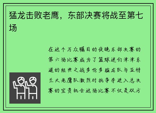 猛龙击败老鹰，东部决赛将战至第七场
